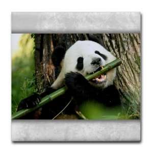  Tile Coaster (Set 4) Panda Bear Eating 