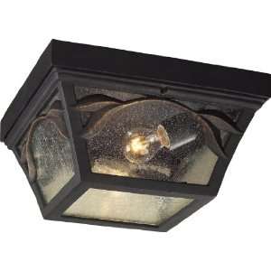 2 Light Outdoor Flush Mount In Weathered Charcoal And 