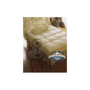   Coast® Luxe Loft™ Baffle Box Twin Feather Bed