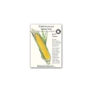  Corn Spring Treat (Yellow)   Botanical Interest Organic Seed 