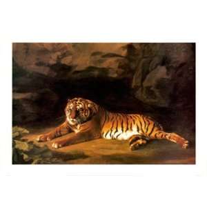 Portrait of the Royal Tiger by George Stubbs 34x24  
