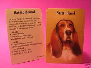 Basset Hound   Dog Profile Card  