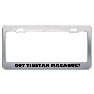 Got Tibetan Macaque? Animals Pets Metal License Plate Frame Holder 