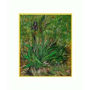  Oil Painting   Van Gogh Paintings The Iris with Studio Gold Bullion 