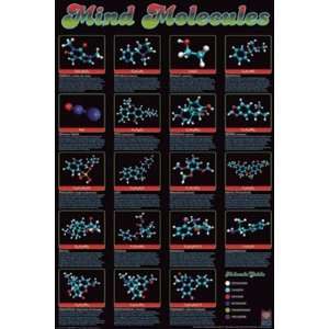  Mind Molecules Illicit Chemistry Poster 24 x 36 inches 