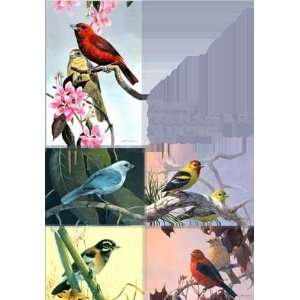  Mario Fernandez   Tanagers Artists Proof 5 Print Suite 
