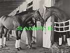 1940 sea biscuit kyakii rare horse racing photo expedited shipping 