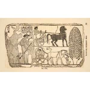  1836 Wood Engraving Egyptian Agriculture Horses Carts 