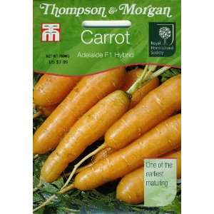   Morgan 781 RHS Carrot Adelaide F1 Seed Packet Patio, Lawn & Garden
