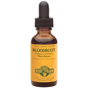  Bloodroot Extract
