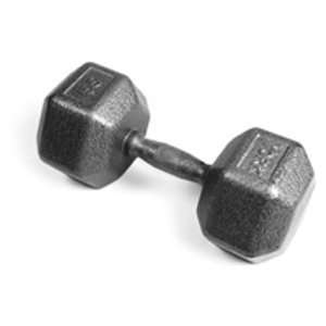  Pro Hex Dumbbell with Cast Ergo Handle   Grey 55 lb 
