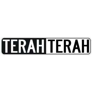   NEGATIVE TERAH  STREET SIGN