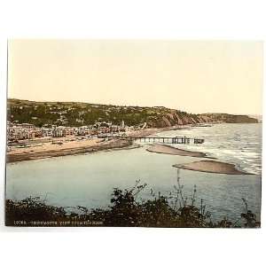    View from the Ness,Teignmouth,England,1890s