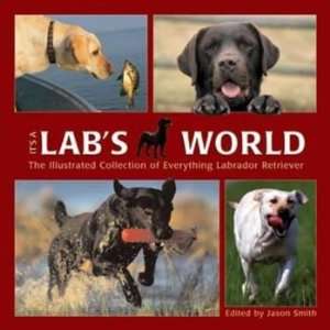  Its a Labs World Book