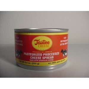 Tastee Pasteurized Processed Cheese 250g  Industrial 