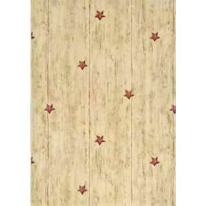 Textured Tan Star Wallpaper