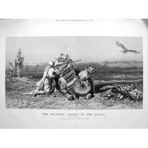  1873 Swooping Terror Desert Vulture Camel Carl Haag