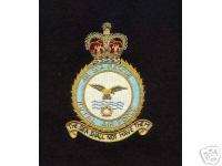 British English Patch Badge RAF Fighter Badge Crest  