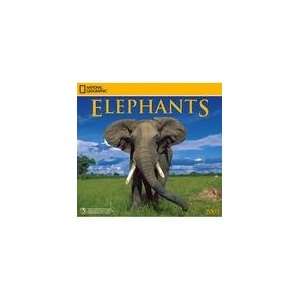  Elephants National Geographic 2009 Wall Calendar