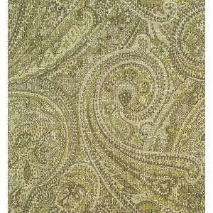  2621 Salome in Citrine by Pindler Fabric