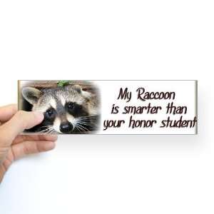  My Raccoon Wildlife Bumper Sticker by  