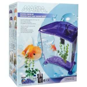  Goldfish Kit UL   Purple   Medium (Quantity of 1) Health 