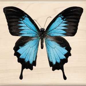  Inkadinkado Ulysses Swallowtail Wood Stamp Arts, Crafts 