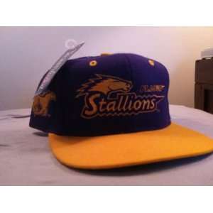  St. Louis Stallions Vintage Snapback Hat 