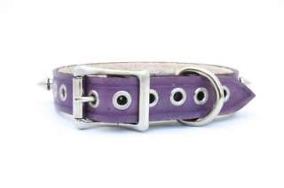 Designer Leather Dog Collar Studded and Spiked   