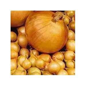  Certified Organic Onions Yellow Rock Onion Sets 1 Pound 