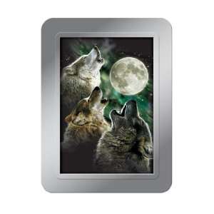  Tree Free Greetings Three Wolf Moon Deluxe Playing Cards 