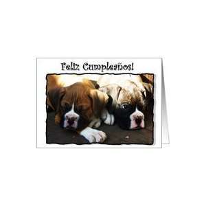  Feliz Cumpleanos boxer puppies Card Health & Personal 