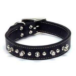   Pet Products Leather Spiked Dog Collar 1X20 Inch Black