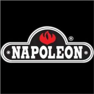  Napoleon See Thru Gas Fireplace
