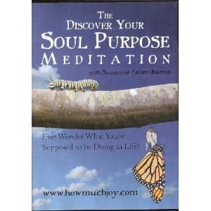 The Discover Your Soul Purpose Meditation With Suzanne Falter Barns 