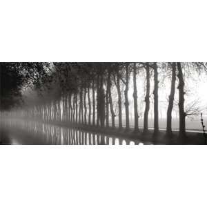  Anonymous Tree Lined Canal * 20 x 8 Poster Print