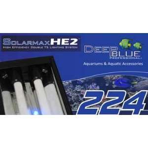  Deep Blue Solarmax T5 Double Strip 24in