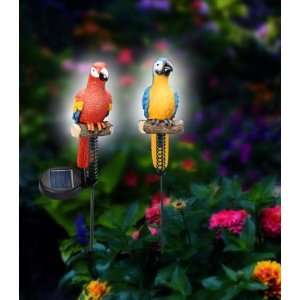  Solar Jungle Birds S/2 jungle Birds Add A Touch To Your 