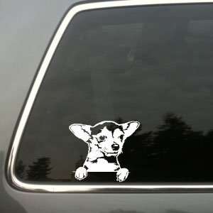  Chihuahua window vinyl decal Small 