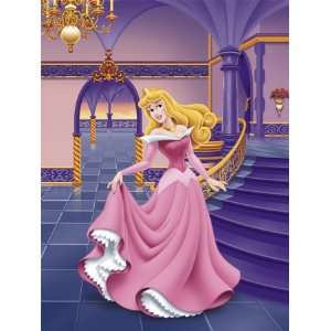  (12x16) Sleeping Beauty Movie Sleeping Beauty Disney 