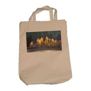  Cloth Shopping Bag   Fall Colors 