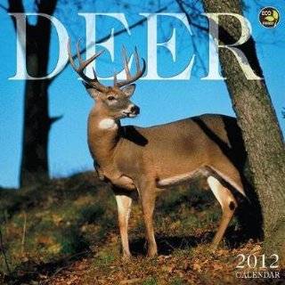 Deer 2012 Wall Calendar by Unknown