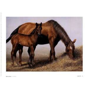  Mare and Foal by Vi Thurmond 8x6 Toys & Games