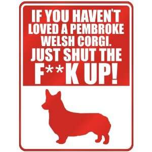  New  If U Havent Loved A Pembroke Welsh Corgi , Just Shut 