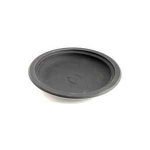  Compostable Black 6 Plate 125/Pack Health & Personal 