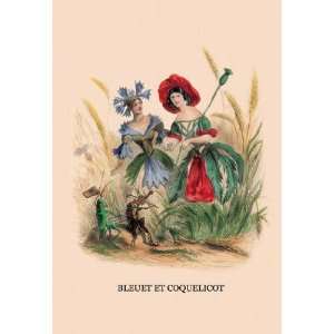  Bleuet et Coquelicot 24x36 Giclee