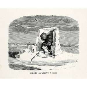   Hunting Hunt Indigenous Inuit Seal Marine Mammals   Original Engraving