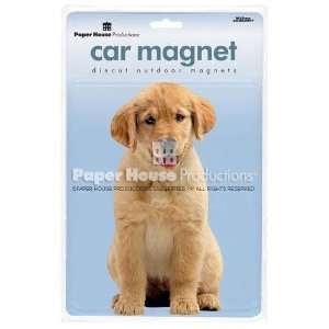  Golden Retriever Dog Die Cut Car Magnet Automotive