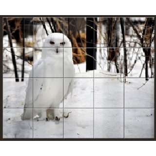  Snow Owl   Ceramic Tile Mural 21.5 x 17.25