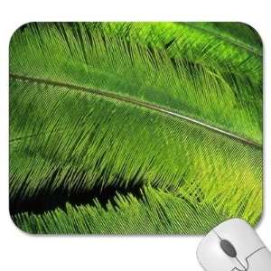   Mouse Pads   Texture   Feather/Feathers (MPTX 152)